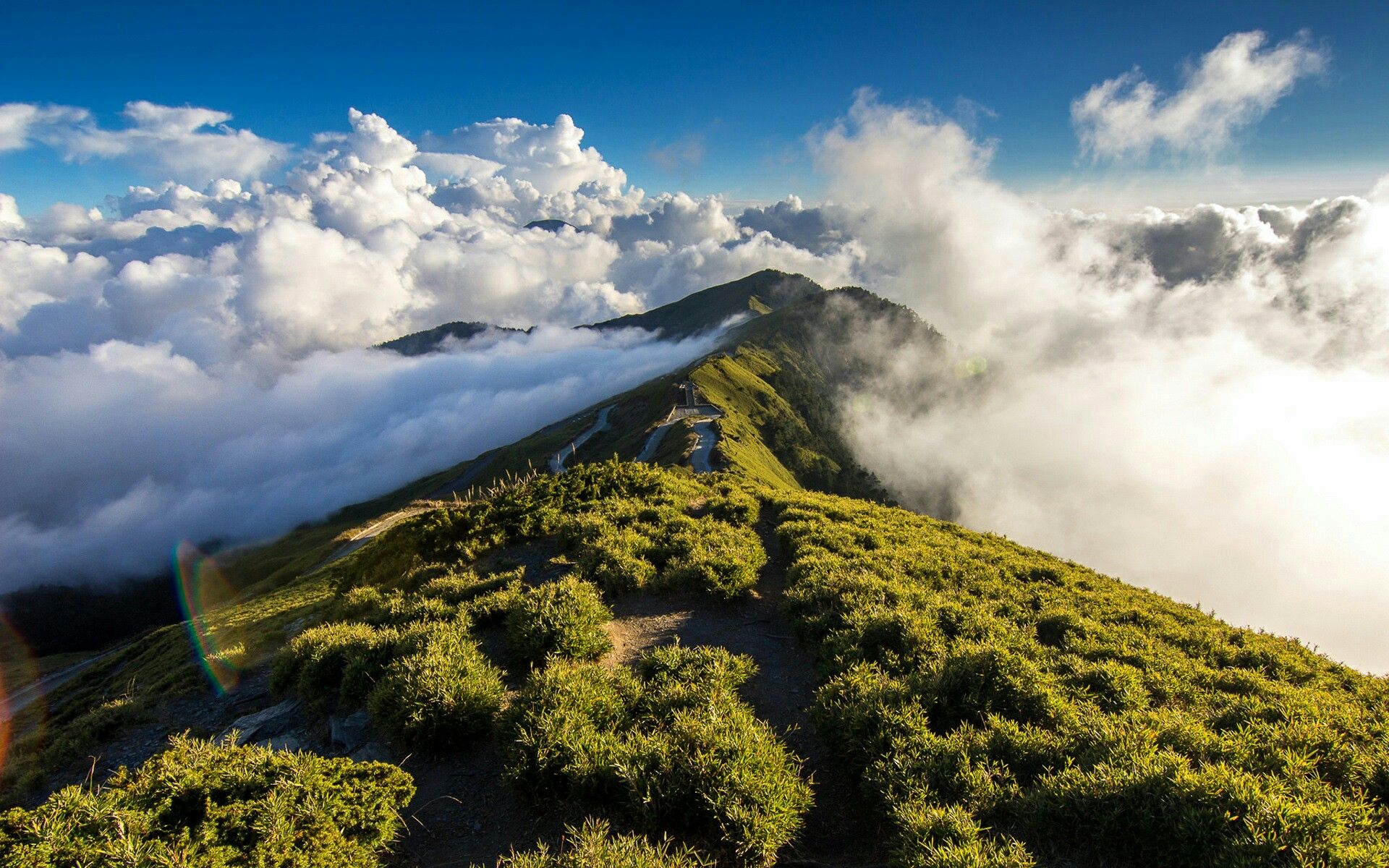 Sunlit mountain ridge rising above a sea of clouds with green slopes and a winding road along the hillside